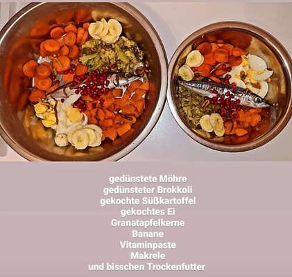 Zeigt her Eure Futternäpfe-Beitrag-Bild