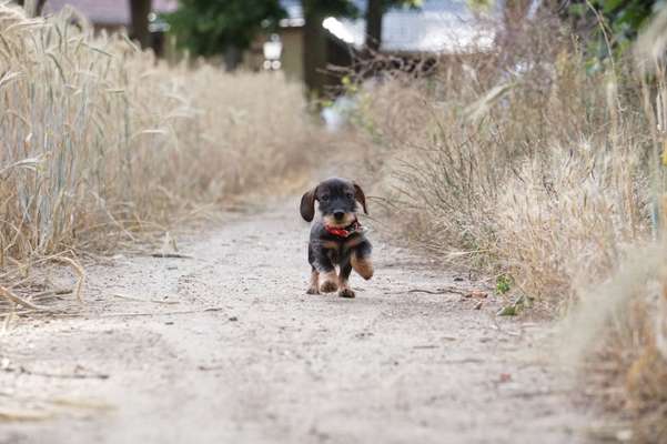 Moviestar-Pics!-Beitrag-Bild