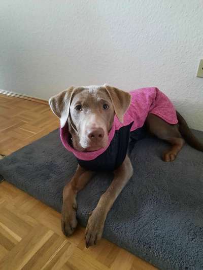 Lieblingsbild-Beitrag-Bild