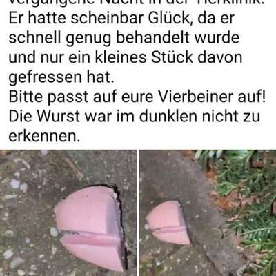 Giftköder-Giftköder-Bild