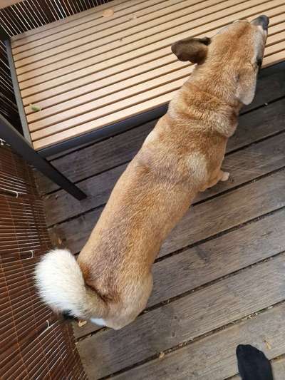 Gangbild/-analyse-Beitrag-Bild