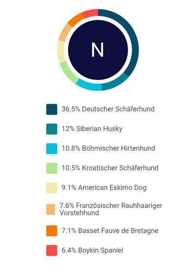 Hat schonmal jemand die Rasse beim Mischling bestimmen lassen?-Beitrag-Bild