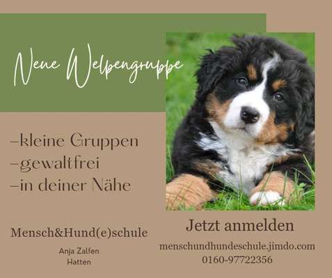 Hundeschulen-Mensch & Hund(e)schule, Anja Zalfen-Bild