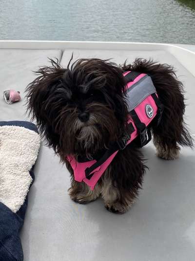 Dogorama-Monats-Challenge-Mai "Wasser"-Beitrag-Bild