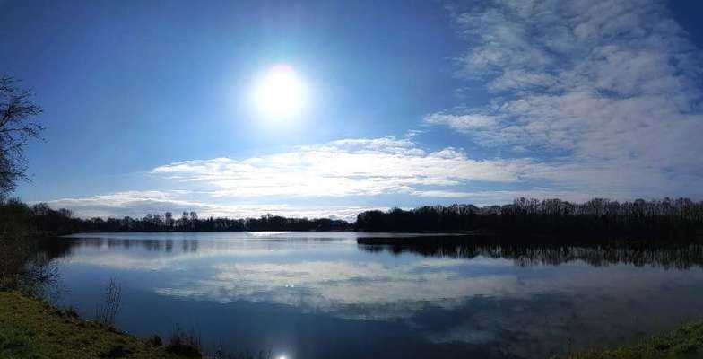 Hundetreffen-Gassirunde Tweelbäker See (Oldenburg Ostkreuz)-Bild