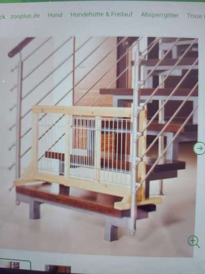 Welpe frisst die Hintermachenschaften von den Katzen-Beitrag-Bild