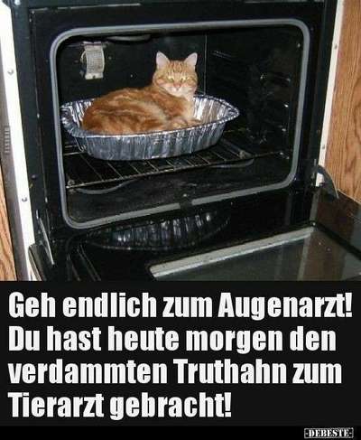 Hunde Memes-Beitrag-Bild
