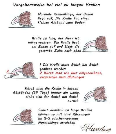 Gebrochene/brüchige Daumenkralle-Beitrag-Bild