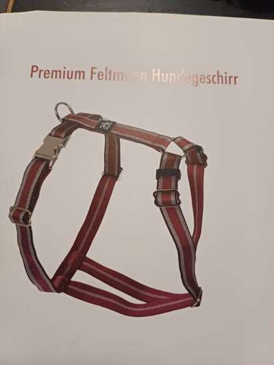 Wie sitzt mein Geschirr?-Beitrag-Bild