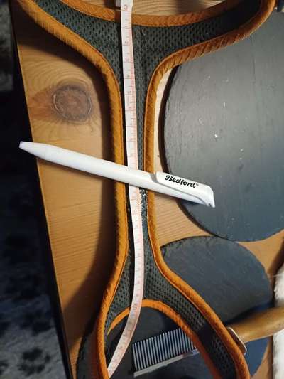 Wie sitzt mein Geschirr?-Beitrag-Bild