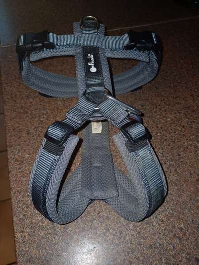 Wie sitzt mein Geschirr?-Beitrag-Bild