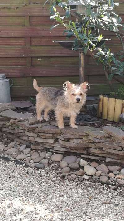 28. Handy-Fotochallenge - Damals und heute-Beitrag-Bild