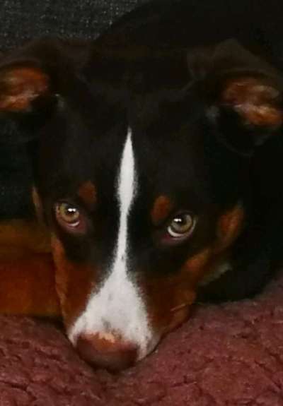 Zeigt eure Portraits-Beitrag-Bild