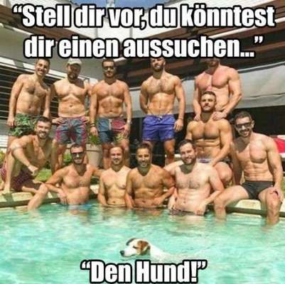 Freundschaftsanfragen-Beitrag-Bild