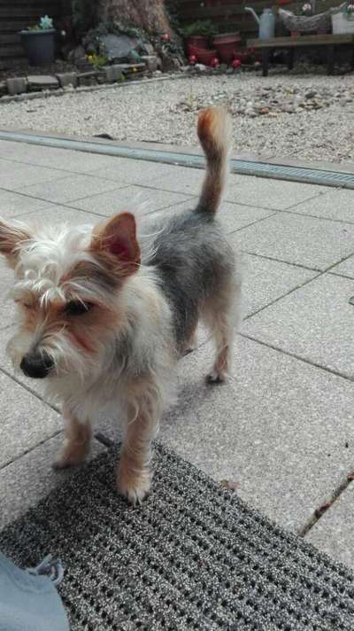 Doppelgänger gesucht !-Beitrag-Bild