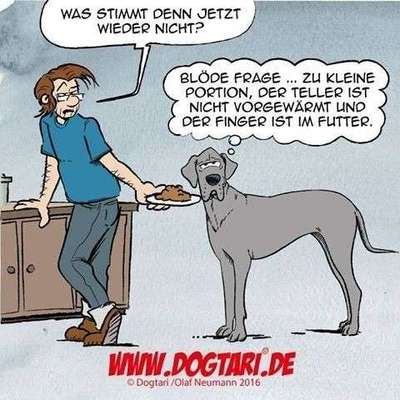 Hunde Memes-Beitrag-Bild