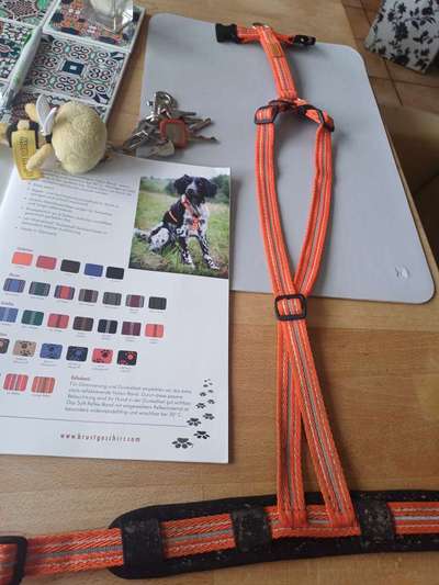 Feltmann Hundegschirr-Beitrag-Bild