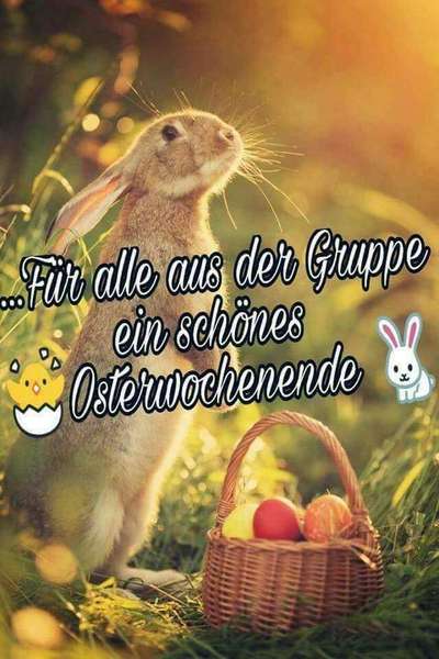 Freundschaftsanfragen-Beitrag-Bild