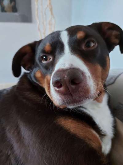 Doppelgänger gesucht !-Beitrag-Bild