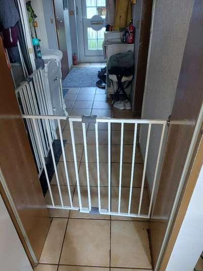 Kamingitter/ Treppenschutzgitter Hunde im Haus begrenzen-Beitrag-Bild