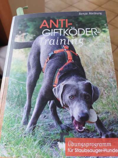 Wird das Thema Giftköder zu wenig ernst genommen?-Beitrag-Bild