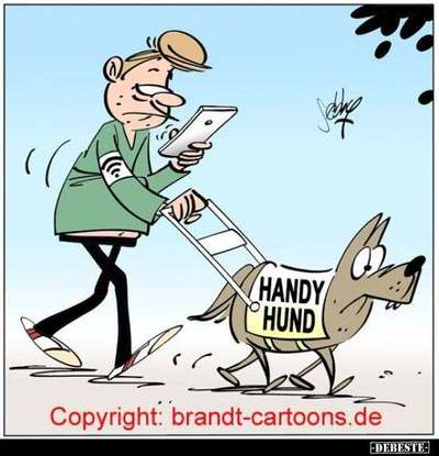 Hunde Memes-Beitrag-Bild