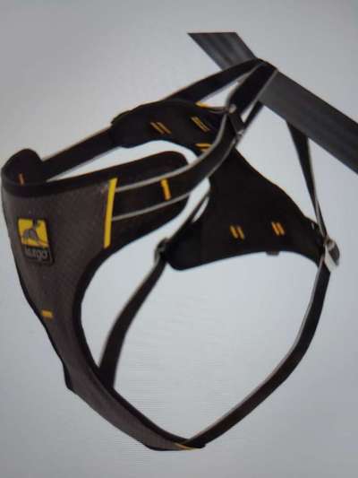 Seltsames Geschirr-Beitrag-Bild