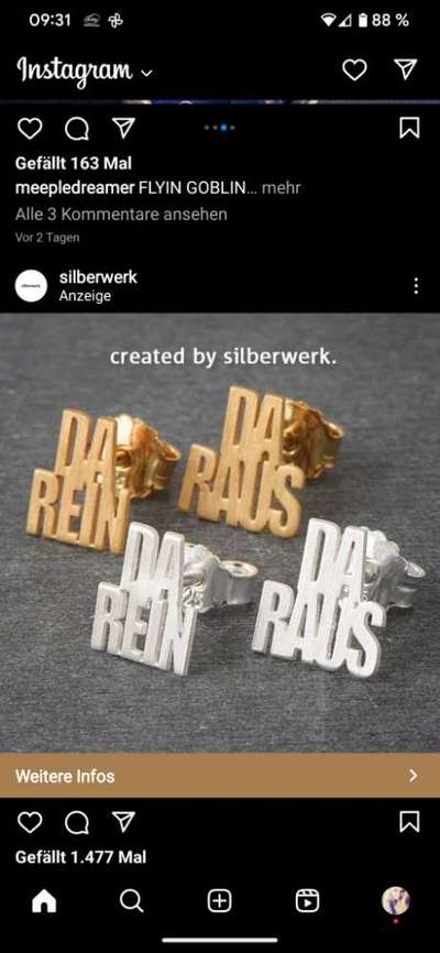 Vorurteile kleine Hunderassen-Beitrag-Bild