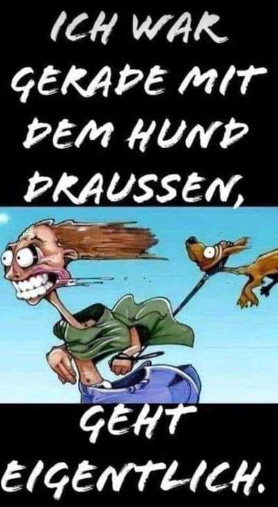 Hunde Memes-Beitrag-Bild