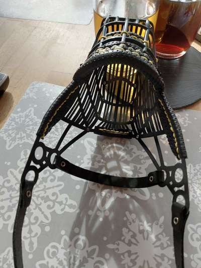 Wie sitzt mein Maulkorb / Maulkorb-Beratung-Beitrag-Bild