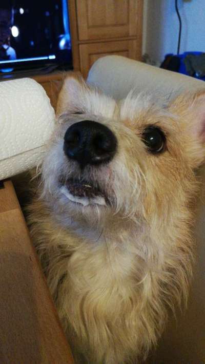 Freundschaftsanfragen-Beitrag-Bild