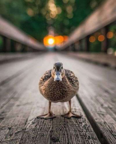 Freundschaftsanfragen-Beitrag-Bild