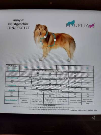 Wie sitzt mein Geschirr?-Beitrag-Bild