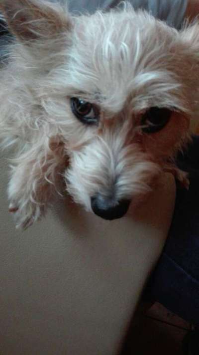 Doppelgänger gesucht !-Beitrag-Bild