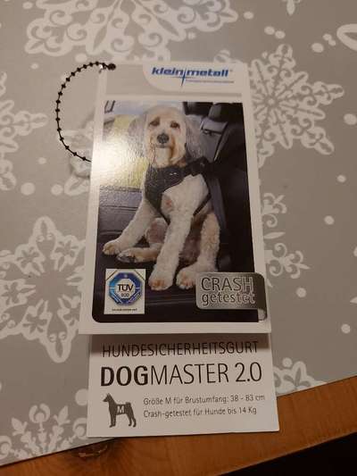 Transport im Auto-Beitrag-Bild