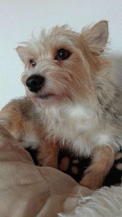 Zeigt eure Portraits-Beitrag-Bild