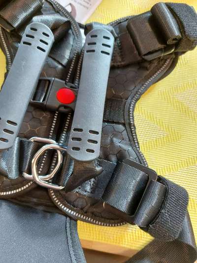 Geschirr zum Autofahren-Beitrag-Bild