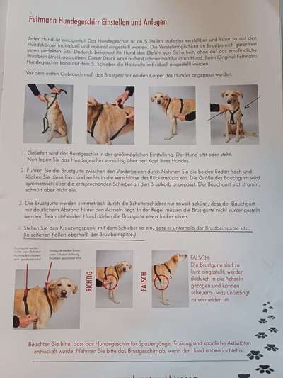 Wie sitzt mein Geschirr?-Beitrag-Bild