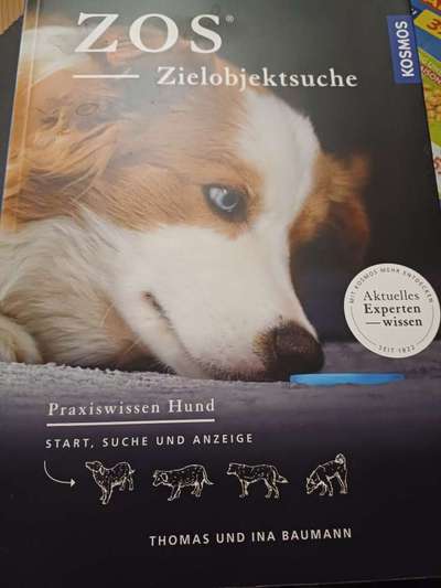 Führerscheinfreies Hunde-Hobby-Beitrag-Bild