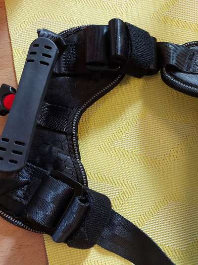 Geschirr zum Autofahren-Beitrag-Bild