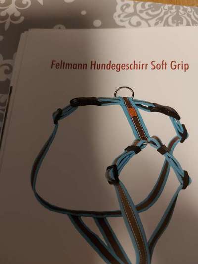 Geschirrproblematik-Beitrag-Bild