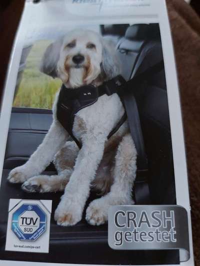 Transport im Auto-Beitrag-Bild