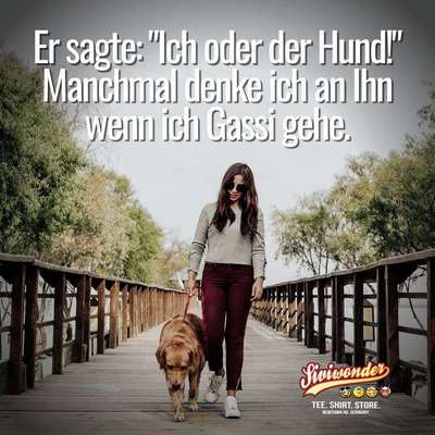 Hunde Memes-Beitrag-Bild