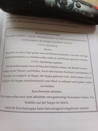 Pferd Creme-Beitrag-Bild