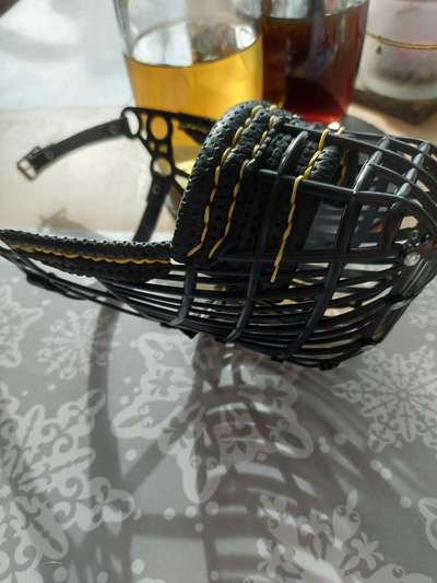 Wie sitzt mein Maulkorb / Maulkorb-Beratung-Beitrag-Bild