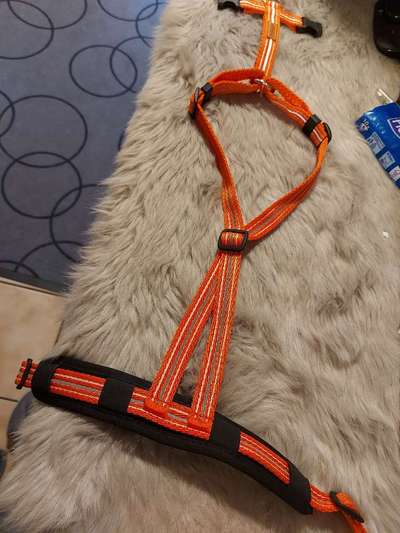 Wie sitzt mein Geschirr?-Beitrag-Bild