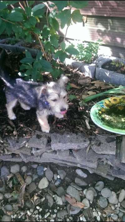 28. Handy-Fotochallenge - Damals und heute-Beitrag-Bild