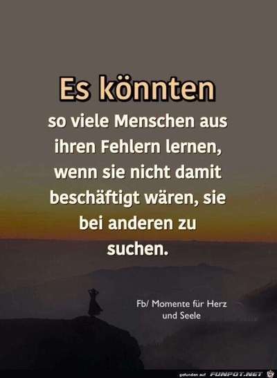 Hundebesitzer beim OA melden ja / nein?-Beitrag-Bild