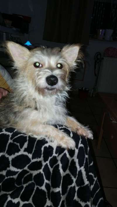 Doppelgänger gesucht !-Beitrag-Bild