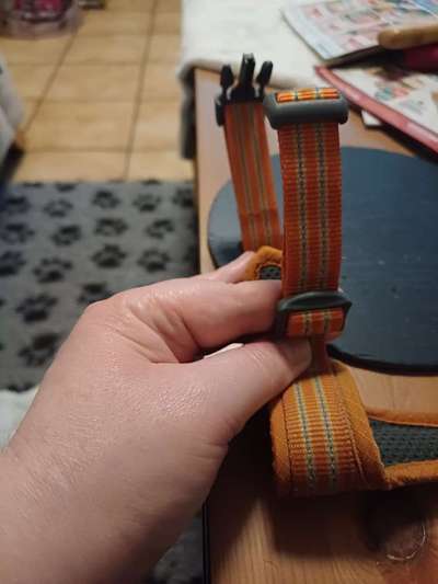 Wie sitzt mein Geschirr?-Beitrag-Bild